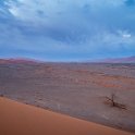 NAM HAR Dune45 2016NOV21 013 : 2016, 2016 - African Adventures, Africa, Namibia, November, Southern, Hardap, Dune 45